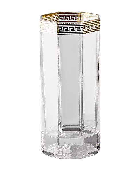 versace glasses drinking|versace medusa drinking glasses.